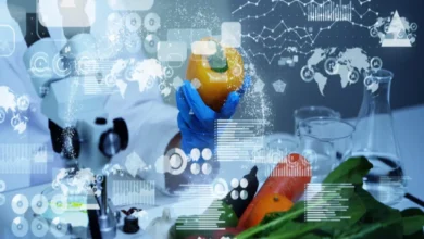 نوآوری‌های صنعت غذا؛ انقلاب دیجیتال و پایداری