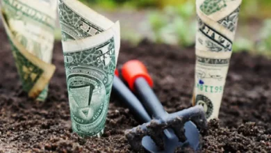 خاک تا پول؛ سهم ایران از معدن