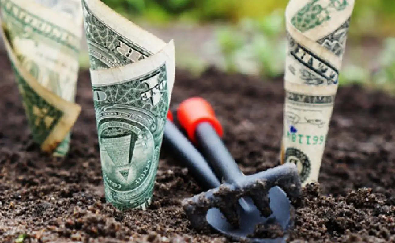 خاک تا پول؛ سهم ایران از معدن