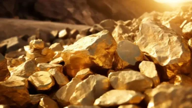 رگه‌های طلایی؛ کجا، چه داریم؟