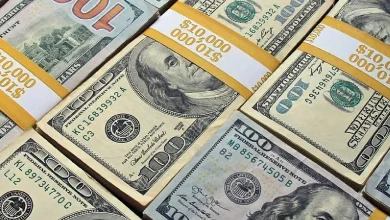 ارز بیقرار و صنعت فرسوده؛ ردپای نوسان در زنجیره تولید