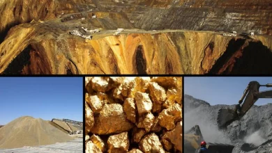 نبرد بر سر مواد معدنی حیاتی