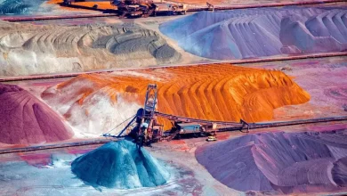 بیداری زمین