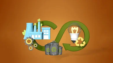 چرخه حیات معدن